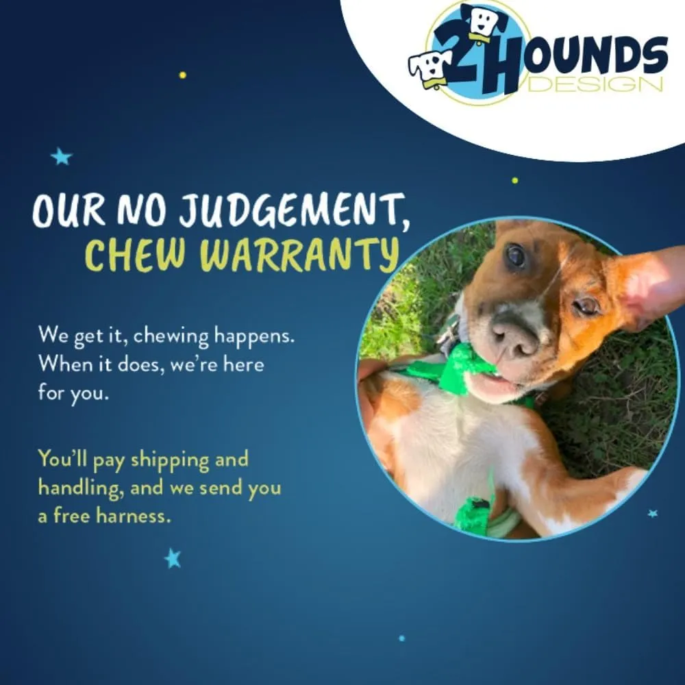 2 Hounds Design Freedom No Pull Dog Harness, Adjustable Harness and Leash Set, Easy Walking & Comfortable Control, Fits Small, Medium & Large Dogs, Solid Colors, Made in USA, 1" MD, Teal