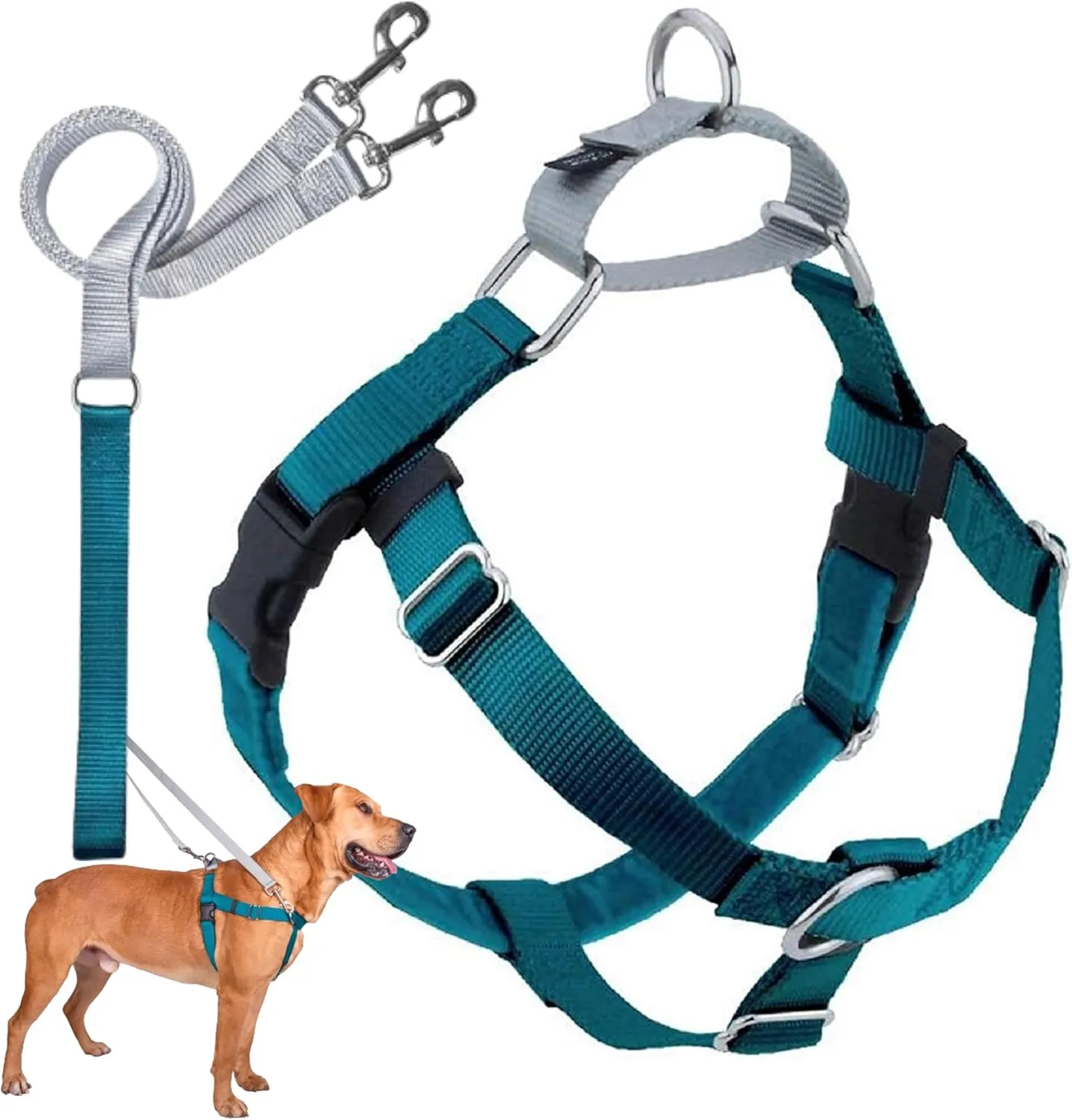 2 Hounds Design Freedom No Pull Dog Harness, Adjustable Harness and Leash Set, Easy Walking & Comfortable Control, Fits Small, Medium & Large Dogs, Solid Colors, Made in USA, 1" MD, Teal