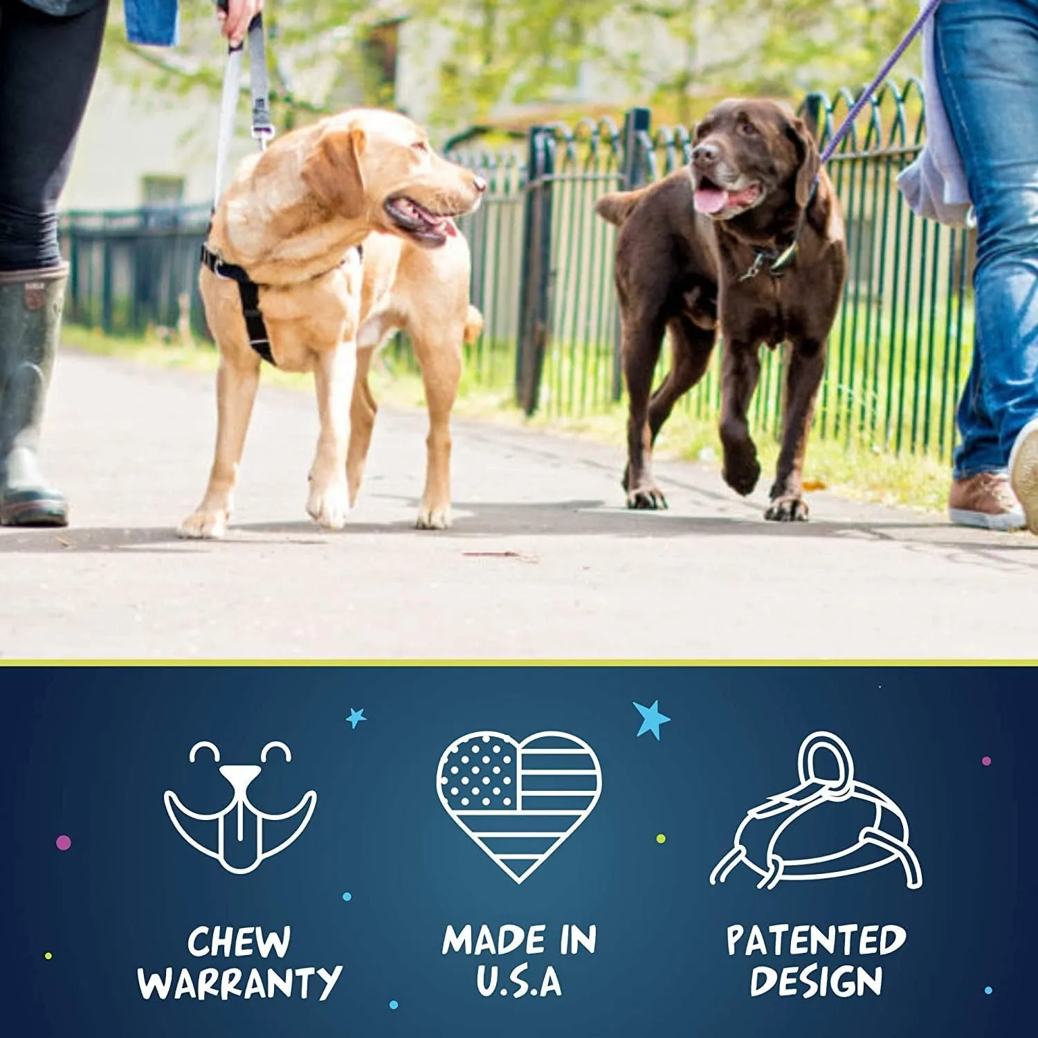 2 Hounds Design Freedom No Pull Dog Harness, Adjustable Harness and Leash Set, Easy Walking & Comfortable Control, Fits Small, Medium & Large Dogs, Solid Colors, Made in USA, 1" MD, Teal