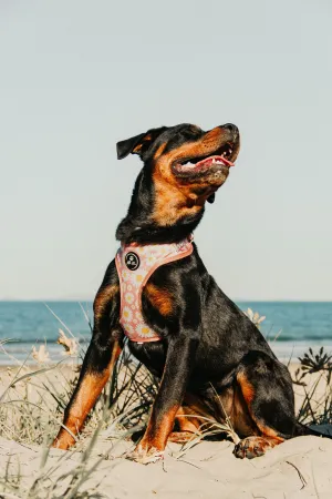 Adjustable Dog Harness | Field of Daisies