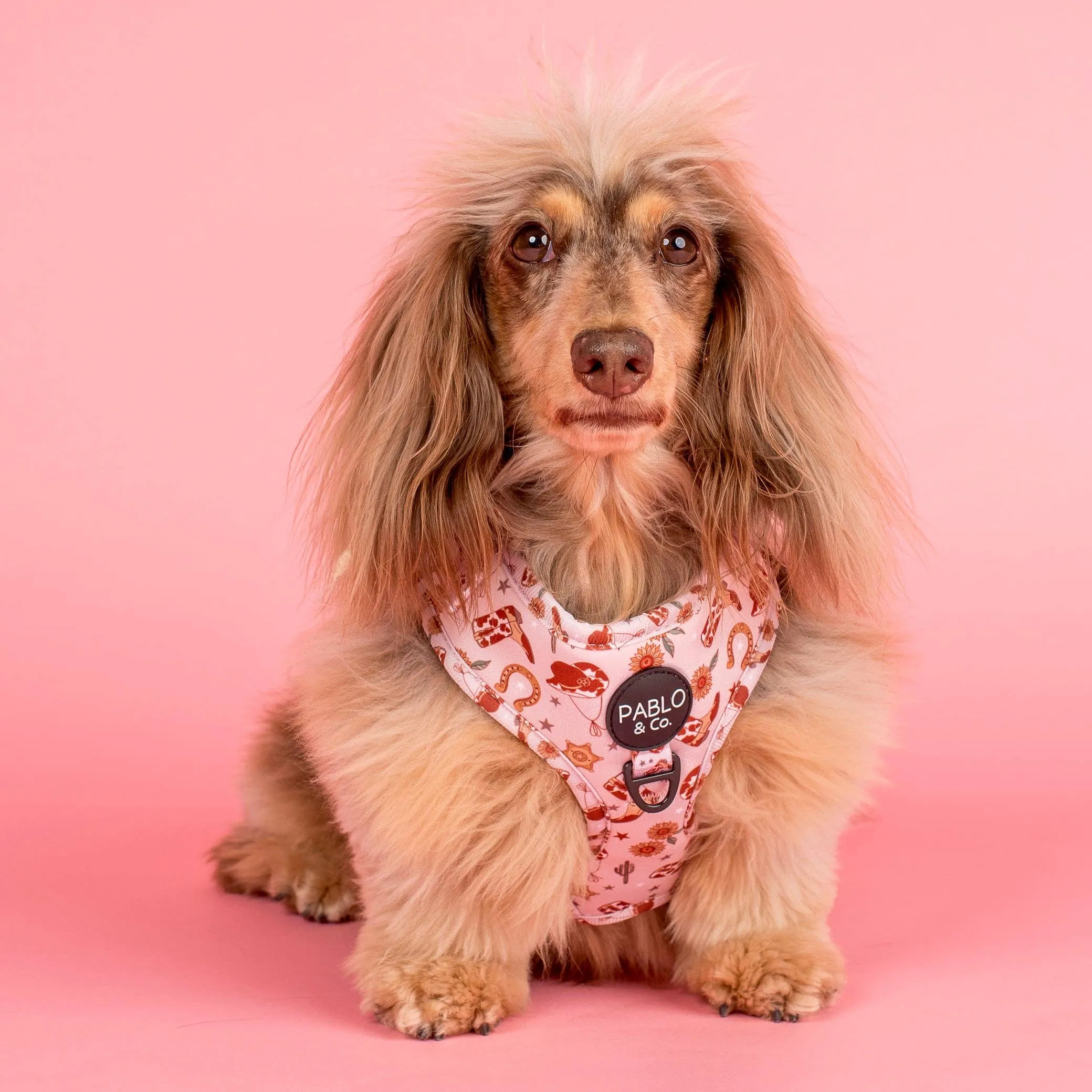 Adjustable Harness | Howdy