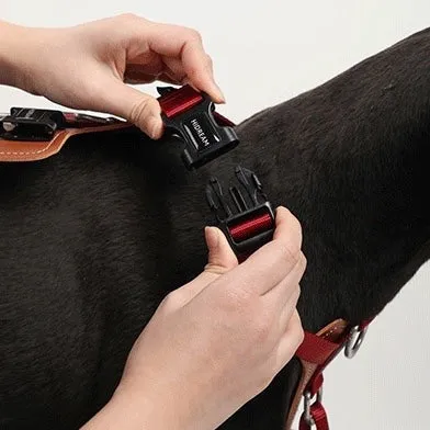 Adjustable No Pull Dog Harness