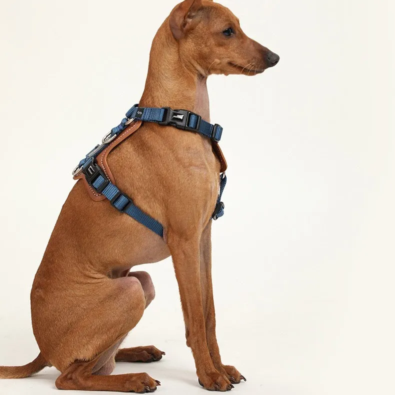 Adjustable No Pull Dog Harness