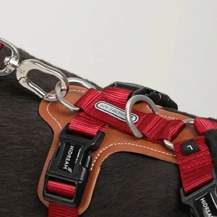 Adjustable No Pull Dog Harness