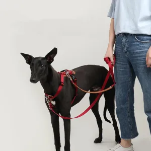 Adjustable No Pull Dog Harness
