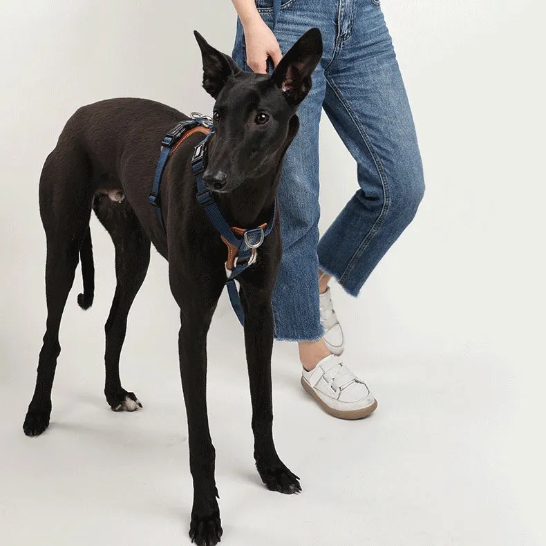 Adjustable No Pull Dog Harness