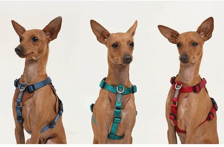 Adjustable No Pull Dog Harness