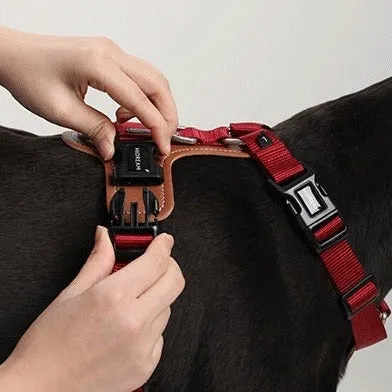 Adjustable No Pull Dog Harness