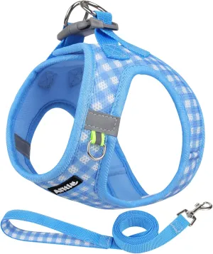 AIITLE Easy Walk Dog Vest Harness and Leash Set, Pet Supply No Pull, Breathable Mesh, Reflective Stripes, Adjustable Escape Proof Pet Outdoor Harnesses for Medium Dogs Blue L