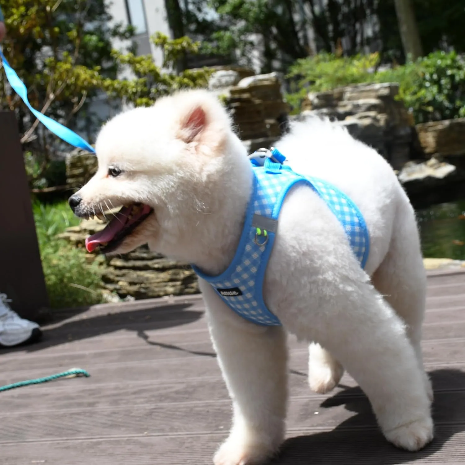 AIITLE Easy Walk Dog Vest Harness and Leash Set, Pet Supply No Pull, Breathable Mesh, Reflective Stripes, Adjustable Escape Proof Pet Outdoor Harnesses for Medium Dogs Blue L
