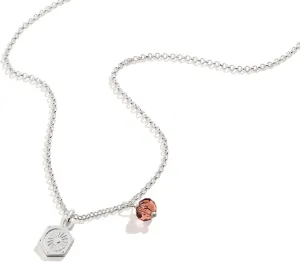 Alex and Ani Path of Symbols Adjustable Necklace for Women, Cosmic Balance Duo Charm, Shiny Silver Finish, 15.5 to 18.75 inches