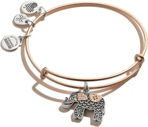 Alex and Ani Path of Symbols Expandable Bangle for Women, Elephant Charm, Two-Tone Finish, 2 to 3.5 in