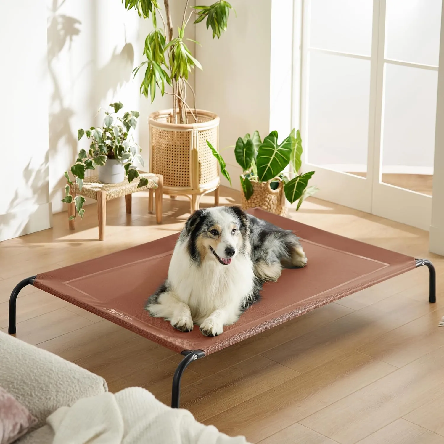 Bedsure XL Elevated Outdoor Dog Bed - Raised Dog Cots Beds for Extra Large Dogs, Portable Indoor & Outdoor Pet Hammock Bed with Skid-Resistant Feet, Frame with Breathable Mesh, Terracotta