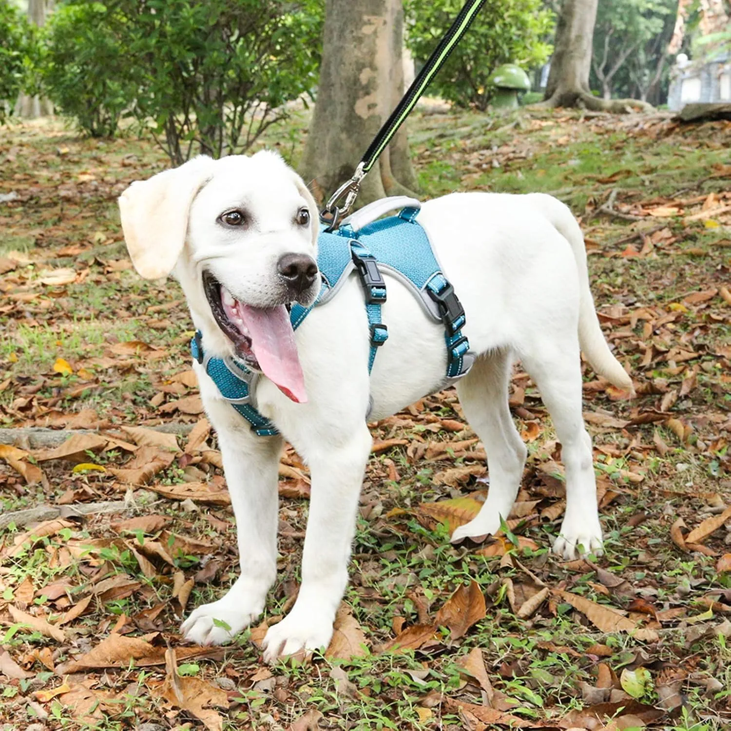 BELPRO Multi-Use Support Dog Harness, Escape Proof No Pull Reflective Adjustable Vest with Durable Handle, Dog Walking Harness for Big/Active Dogs (Blue, M)