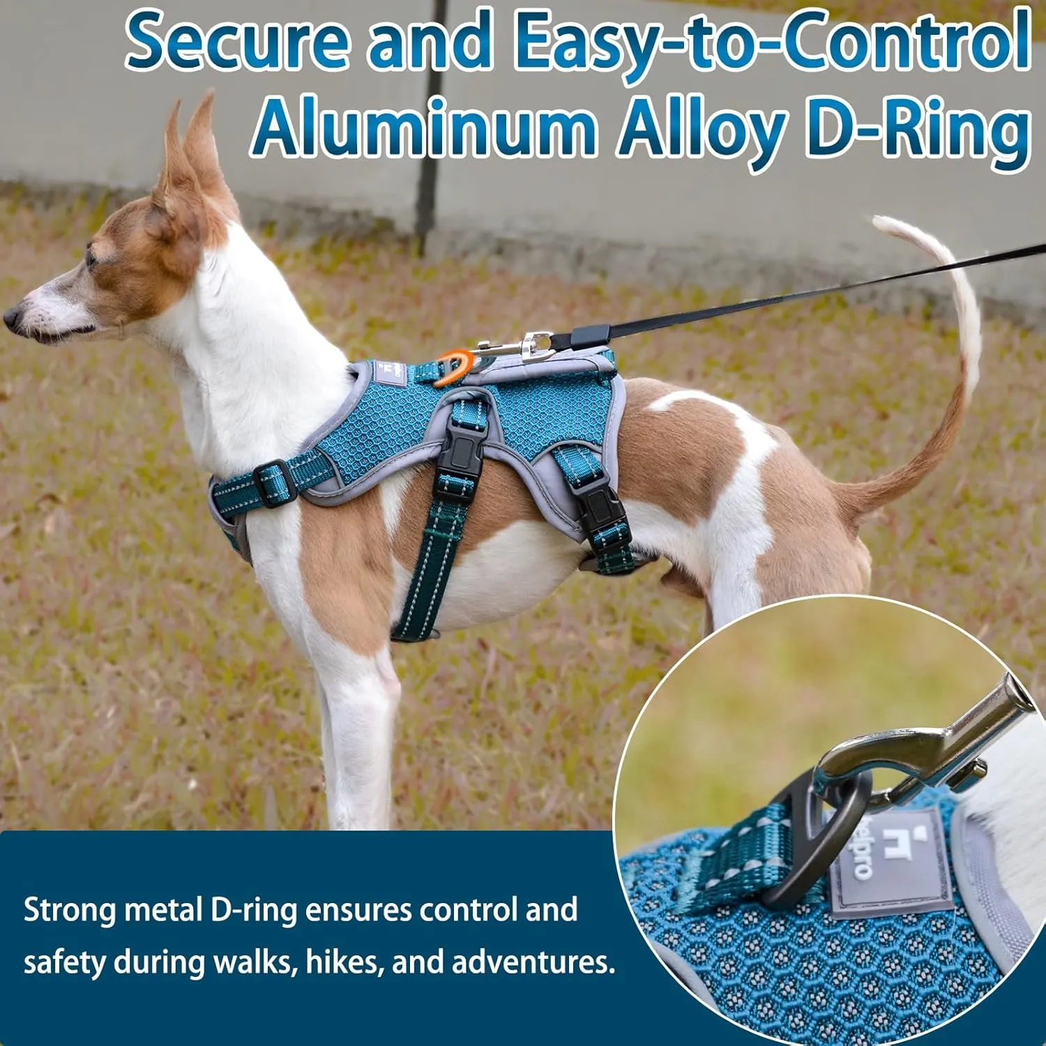 BELPRO Multi-Use Support Dog Harness, Escape Proof No Pull Reflective Adjustable Vest with Durable Handle, Dog Walking Harness for Big/Active Dogs (Blue, M)