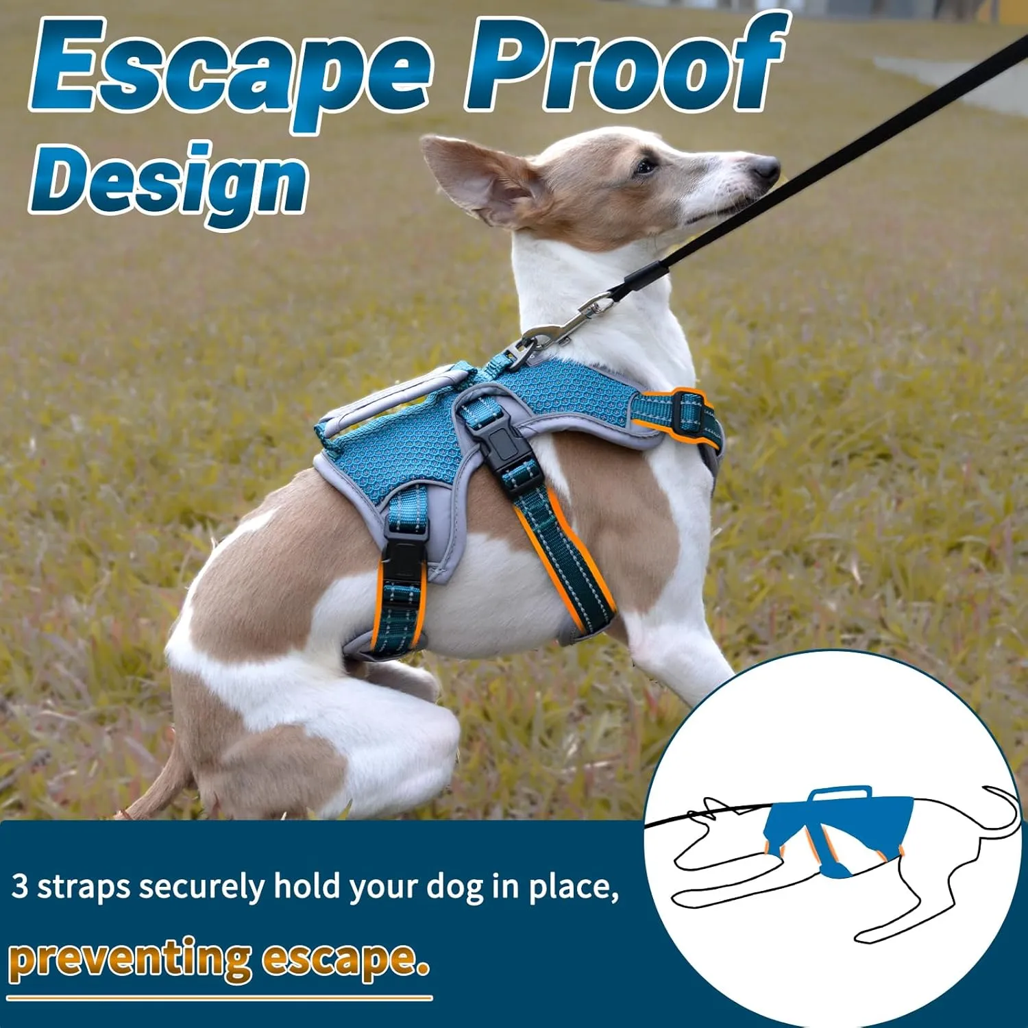 BELPRO Multi-Use Support Dog Harness, Escape Proof No Pull Reflective Adjustable Vest with Durable Handle, Dog Walking Harness for Big/Active Dogs (Blue, M)