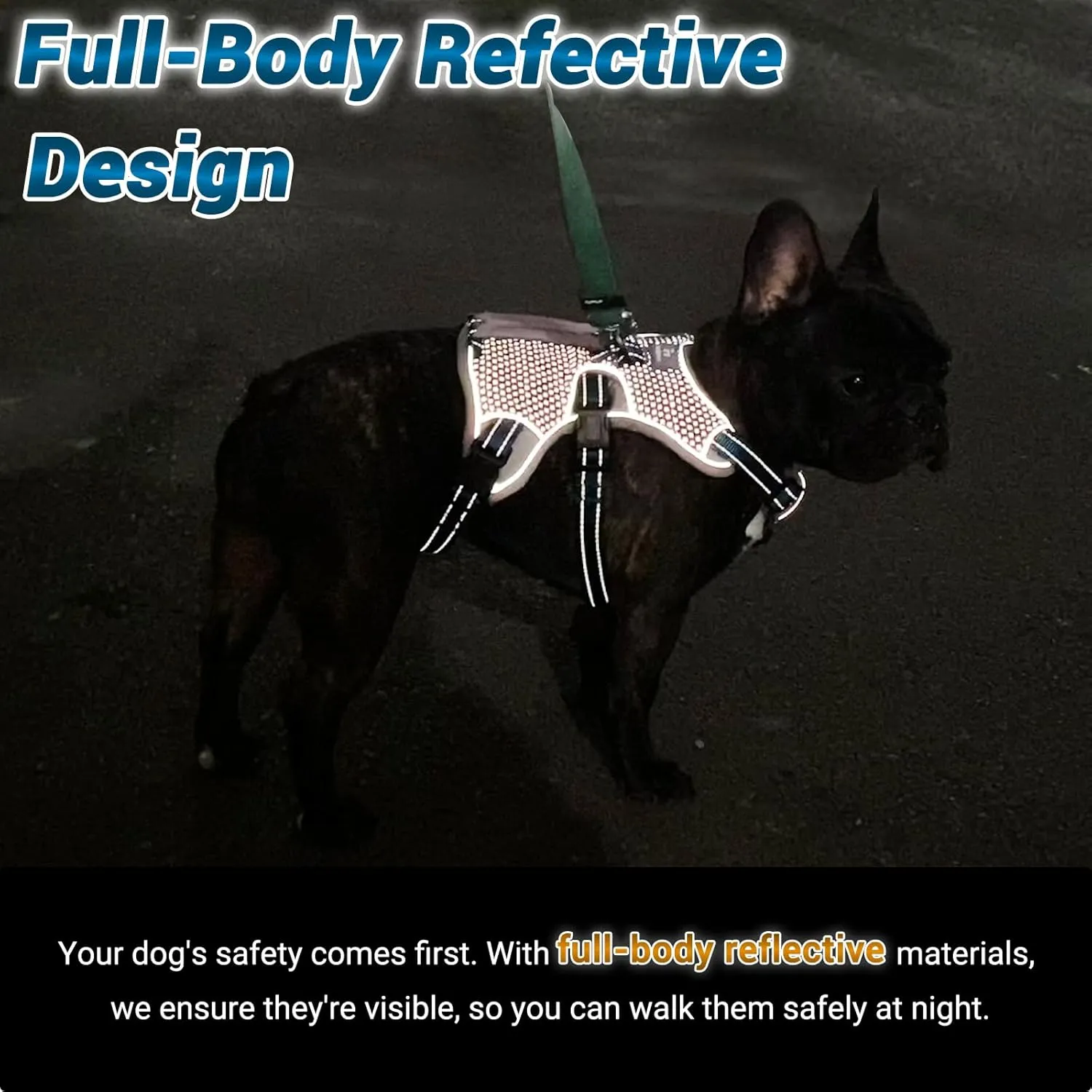BELPRO Multi-Use Support Dog Harness, Escape Proof No Pull Reflective Adjustable Vest with Durable Handle, Dog Walking Harness for Big/Active Dogs (Blue, M)
