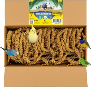 Birds LOVE Economy & Thin Special Spray Millet GMO-Free (No Stems Only Edible Tops) for Birds Cockatiel Lovebird Parakeet Finch Canary All Parrots Healthy Treat - 25lbs