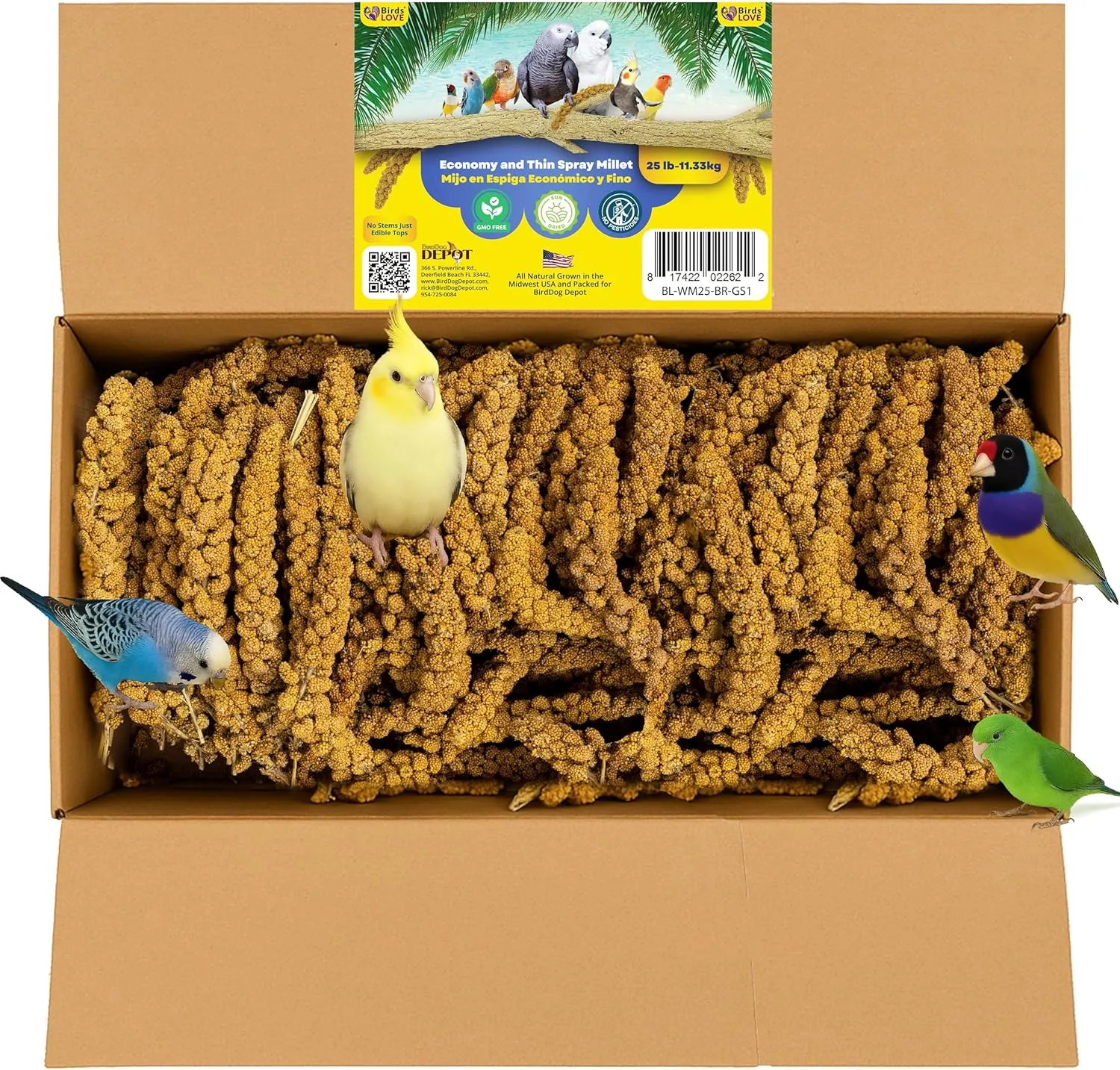 Birds LOVE Economy & Thin Special Spray Millet GMO-Free (No Stems Only Edible Tops) for Birds Cockatiel Lovebird Parakeet Finch Canary All Parrots Healthy Treat - 25lbs