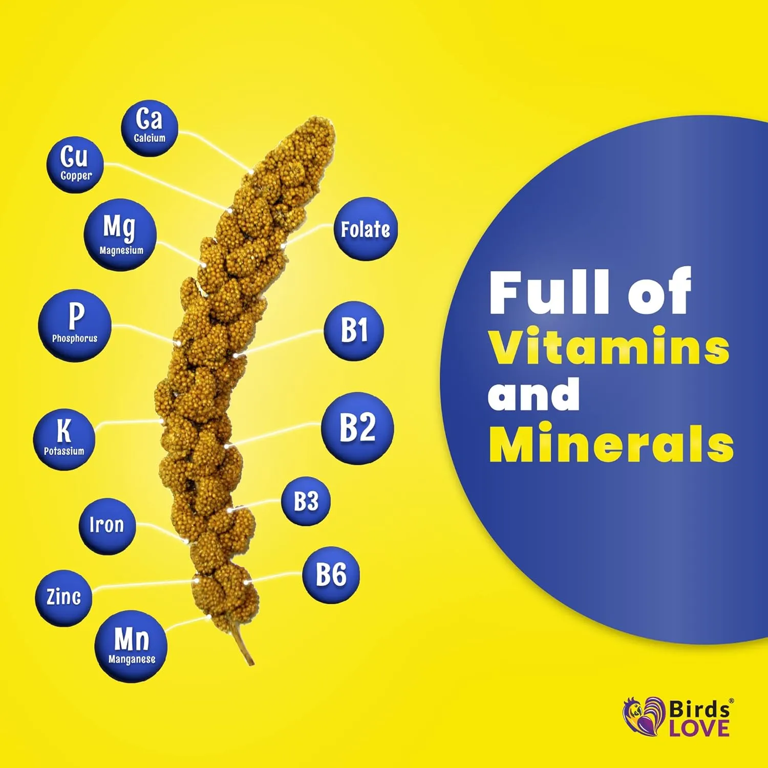 Birds LOVE Economy & Thin Special Spray Millet GMO-Free (No Stems Only Edible Tops) for Birds Cockatiel Lovebird Parakeet Finch Canary All Parrots Healthy Treat - 25lbs