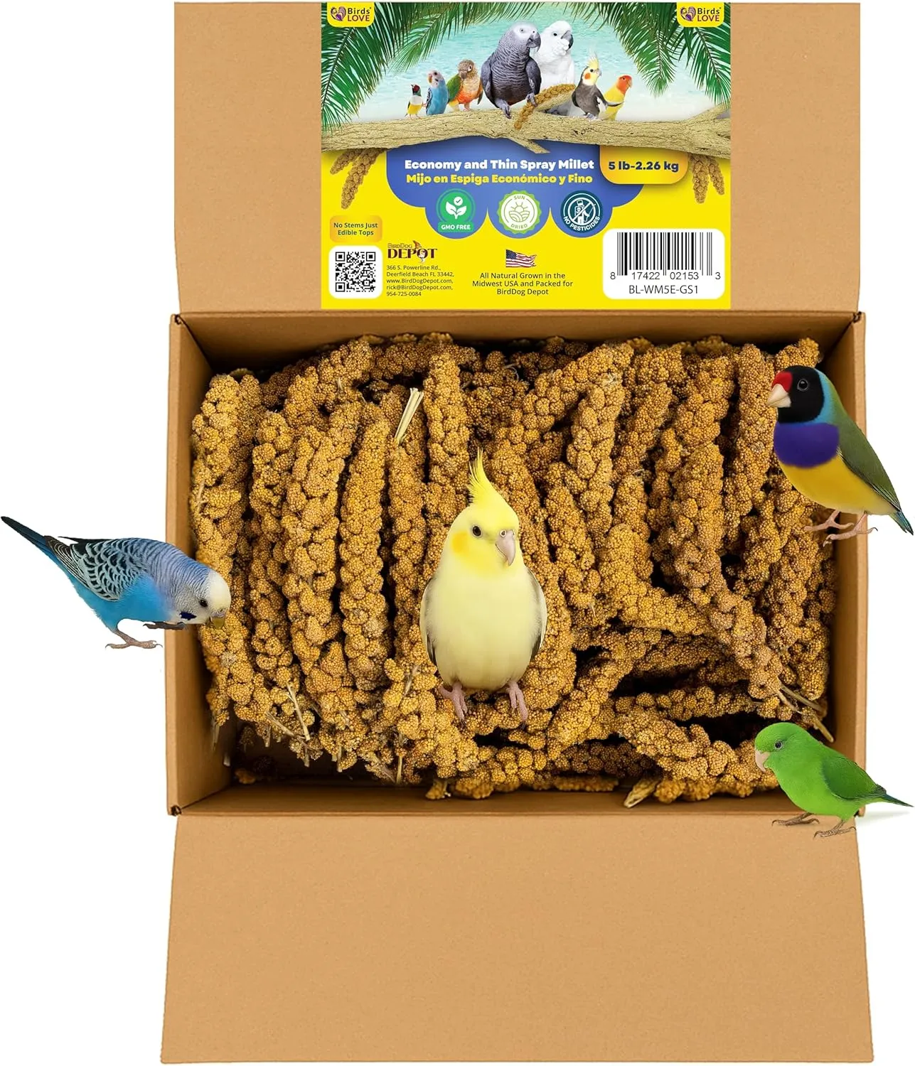 Birds LOVE Economy & Thin Special Spray Millet GMO-Free (No Stems Only Edible Tops) for Birds Cockatiel Lovebird Parakeet Finch Canary All Parrots Healthy Treat - 5lbs