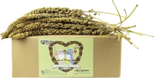 Birds LOVE French Kissed Spray Millet for Birds - Parakeets, Cockatiels, Lovebirds, Finches, Budgies, Canaries, Cockatoos - Natural & Healthy Bird Millet - Parakeet Food & Treats for All Parrots 5lbs