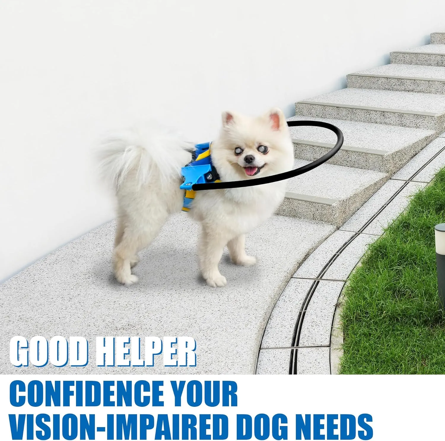 Blind Dog Halo Harness, Protective Halo Dog Collar for Blind Dogs, Confidence Building Harness Guiding Device, Blind Dog Accessories, S Black