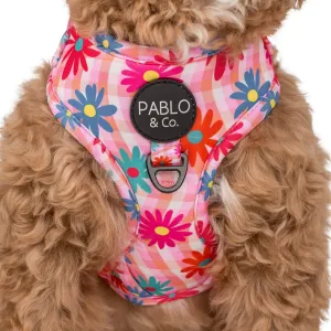 Blossom Adjustable Dog Harness