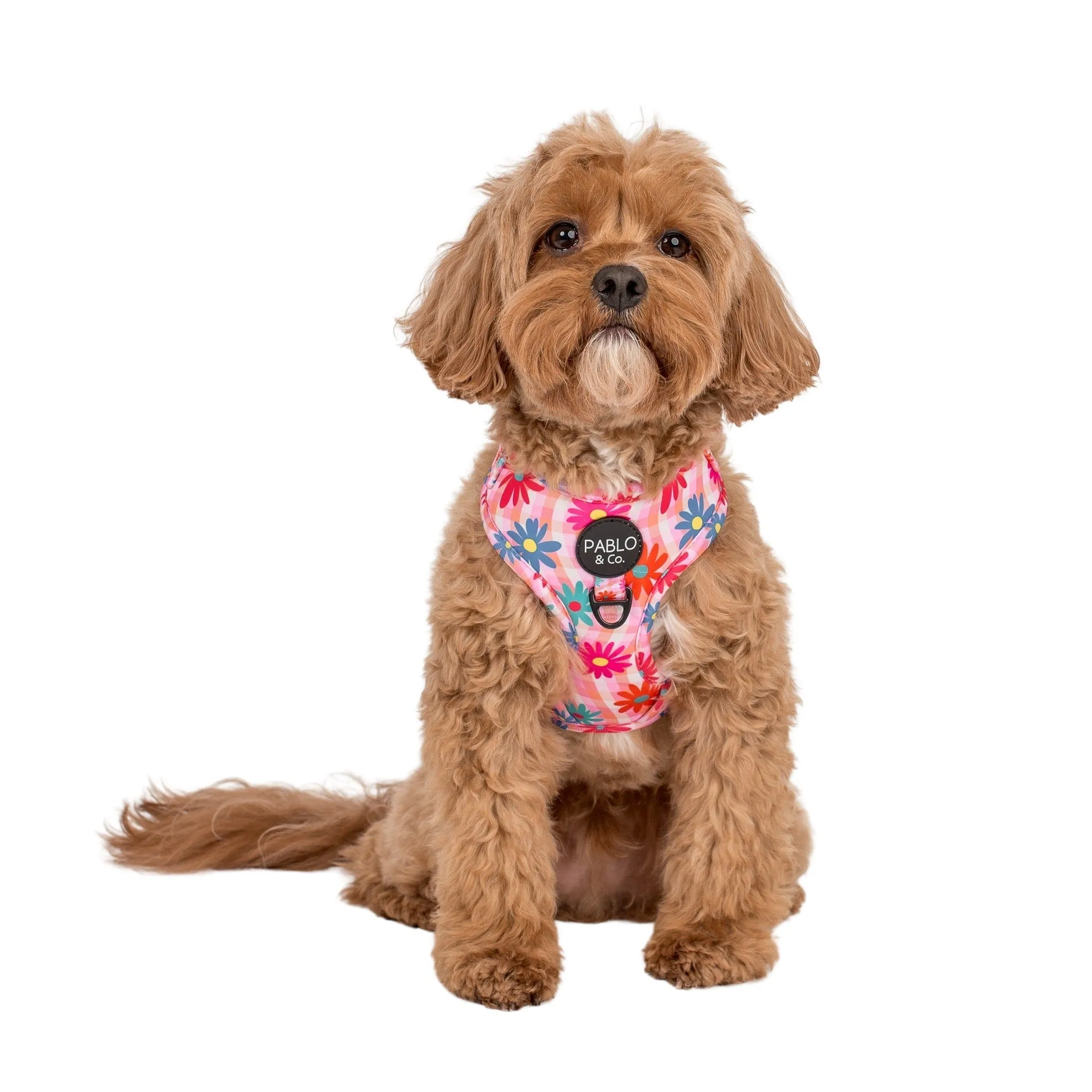 Blossom Adjustable Dog Harness