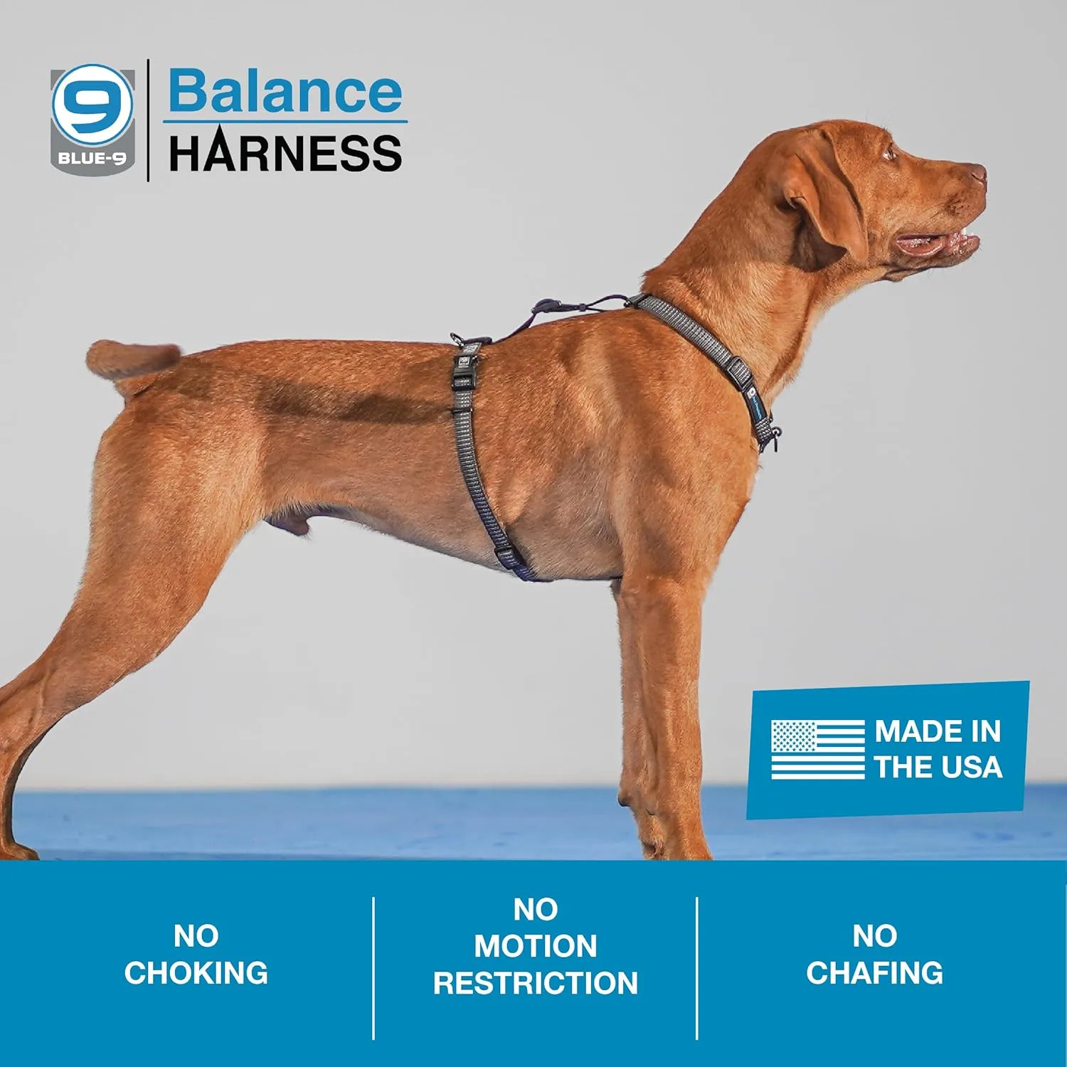 Blue-9 Reflective Buckle-Neck Balance Harness, Fully Customizable Fit No-Pull Harness with 3M Reflective Stitching, Ideal for Dog Training and Obedience, Made in The USA, Grey, XS