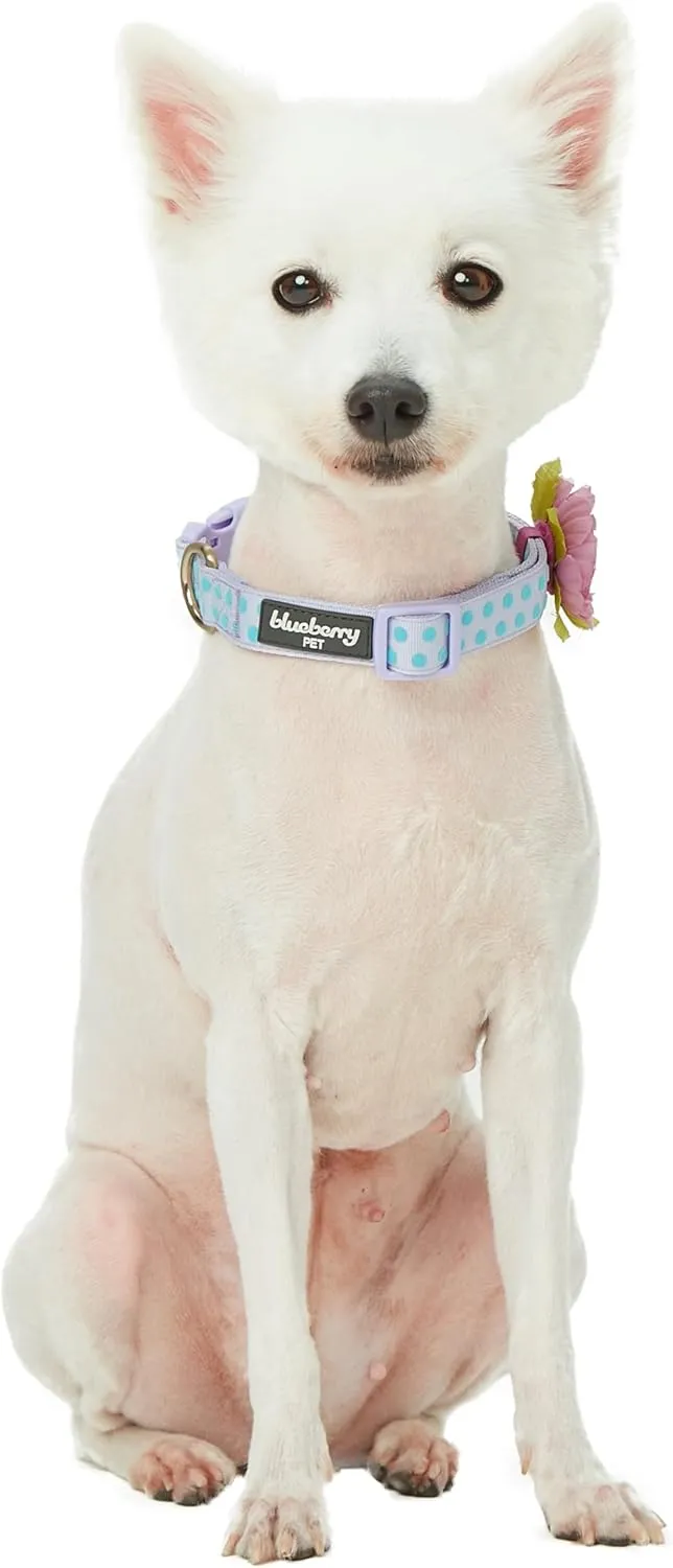 Blueberry Pet Dog Collar - Adjustable Flocking Puppy Collar with Silk Flower, Polka Dot in Pastel Purple, Medium 14.5"-20" - Pink Dog Collars for Small Dogs, Girl Dog Collars
