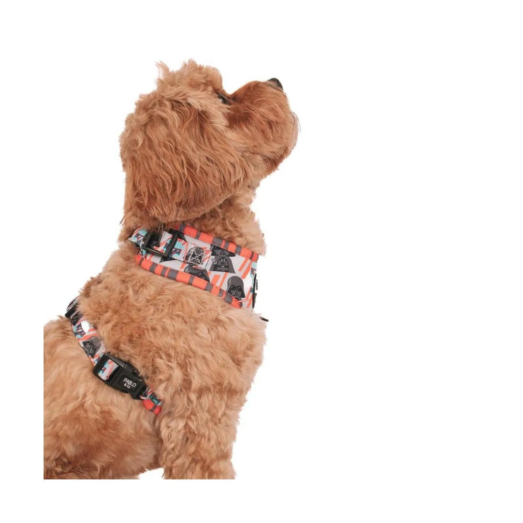Boba Fett & Darth Vader Adjustable Harness