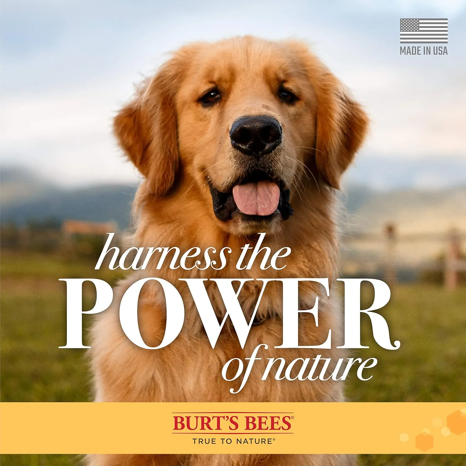 Burt's Bees for Pets Itch Soothing Spray with Honeysuckle, 95% Natural Origin Formulas, Dog Spritz for Itchy Dogs, Skin Relief, 6pk, 10oz