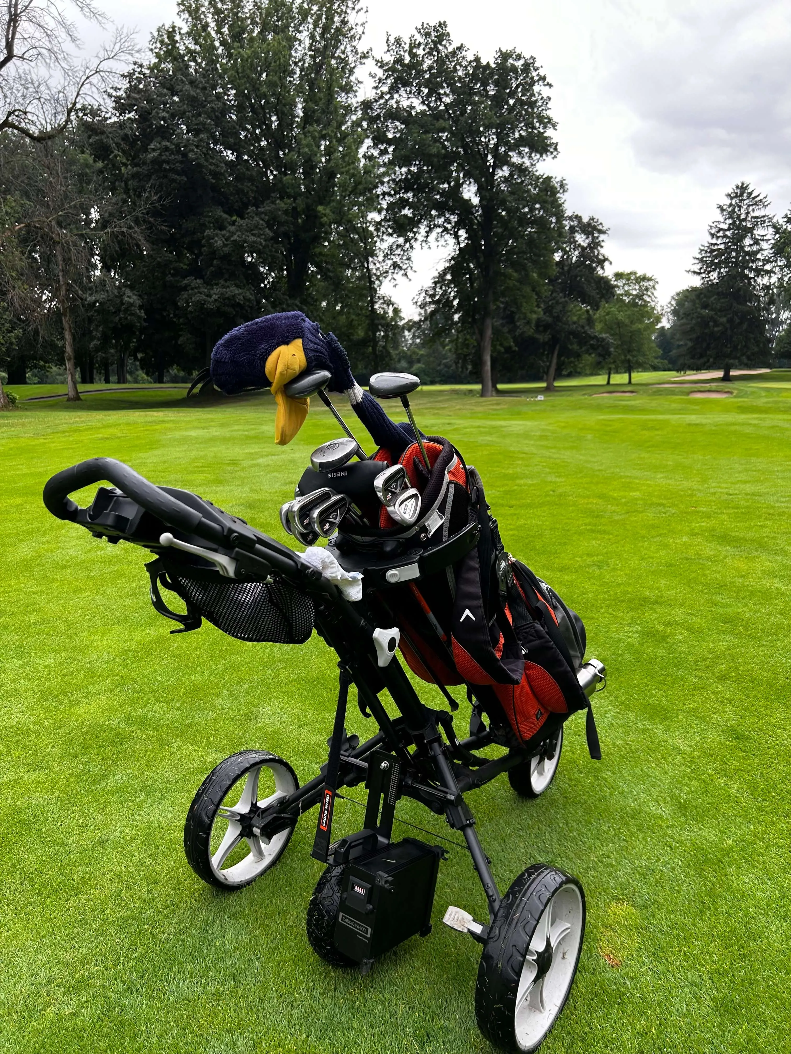 Caddie Wheel   Axglo V2 Golf Push Cart Bundle