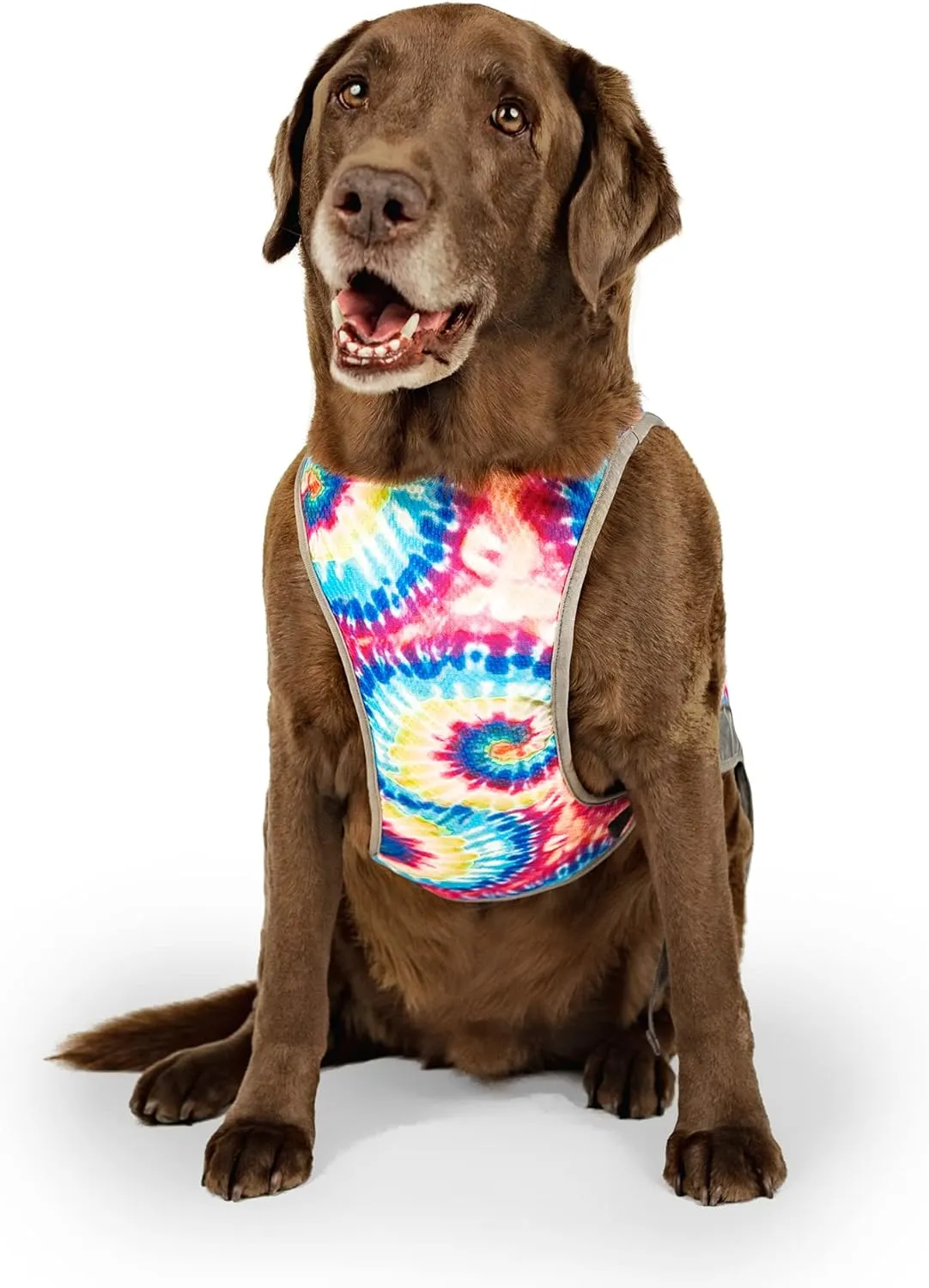 Canada Pooch Dog Cooling Vest - Evaporative Cooling Vest for Dogs with Breathable Mesh Material & Reflective Lining, Adjustable Dog Cooling Vest Great for Dogs 18 (17-19" Back Length), Tie Dye