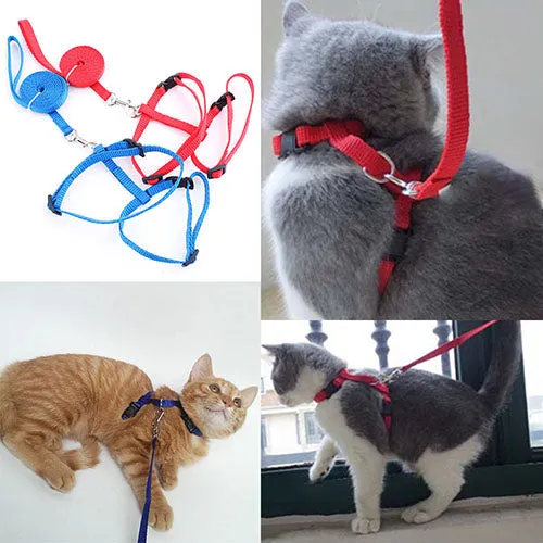 Cat Harness & Leash Set