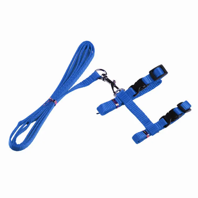 Cat Harness & Leash Set