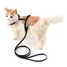Cat Harness & Leash Set