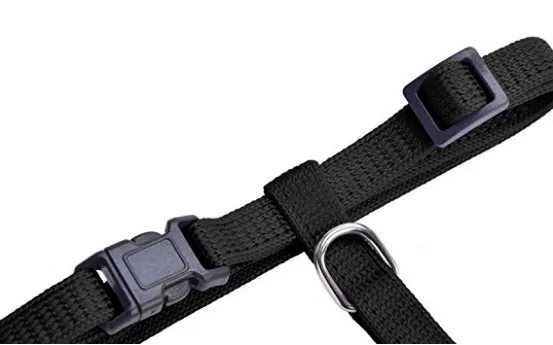 Cat Harness & Leash Set
