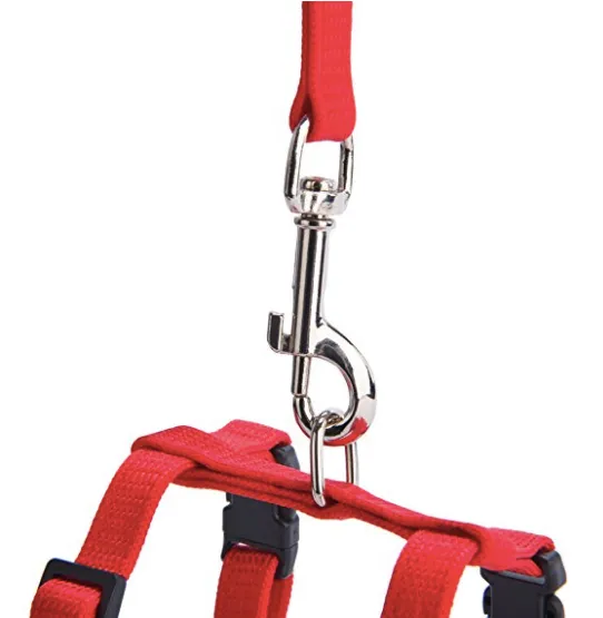 Cat Harness & Leash Set