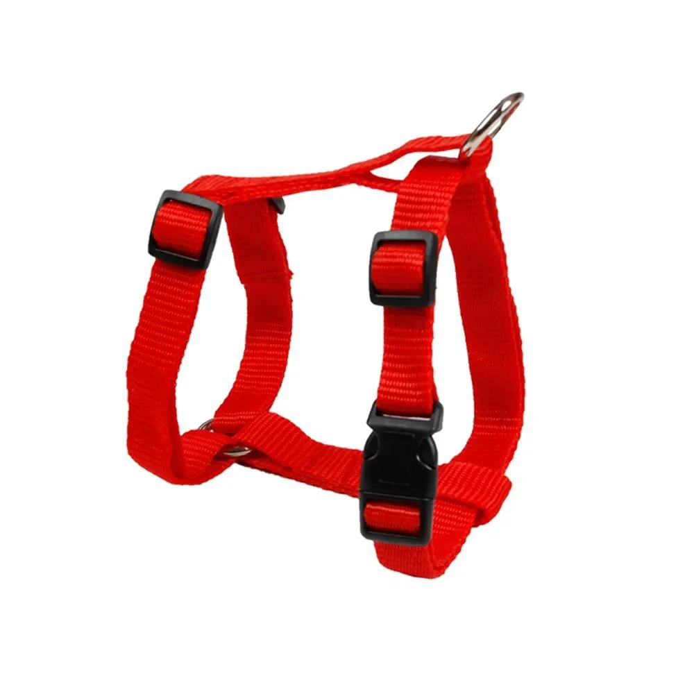 Cat Harness & Leash Set