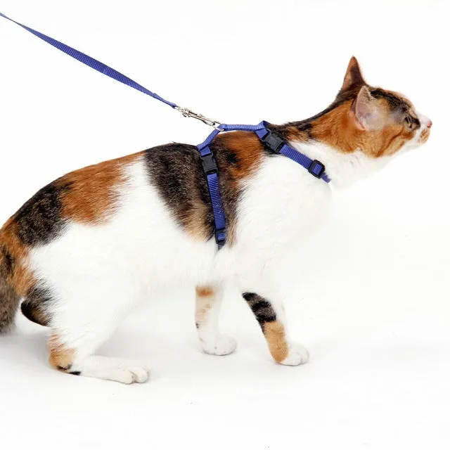 Cat Harness & Leash Set