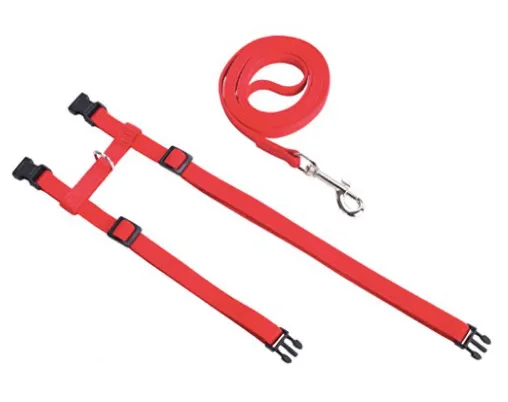 Cat Harness & Leash Set