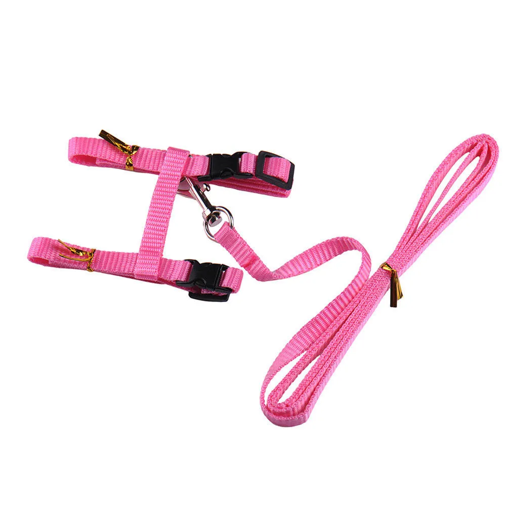 Cat Harness & Leash Set