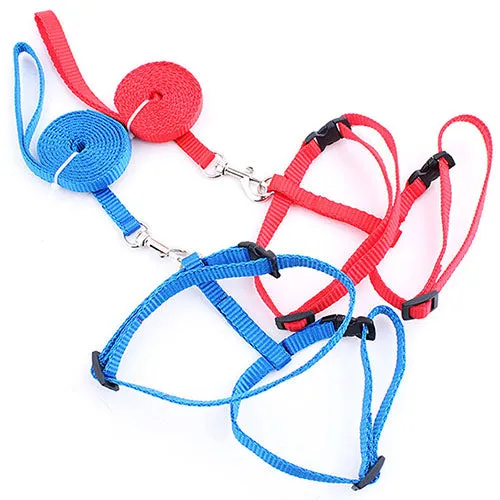 Cat Harness & Leash Set