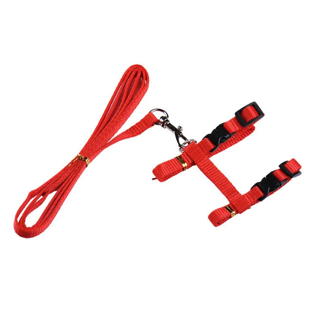 Cat Harness & Leash Set