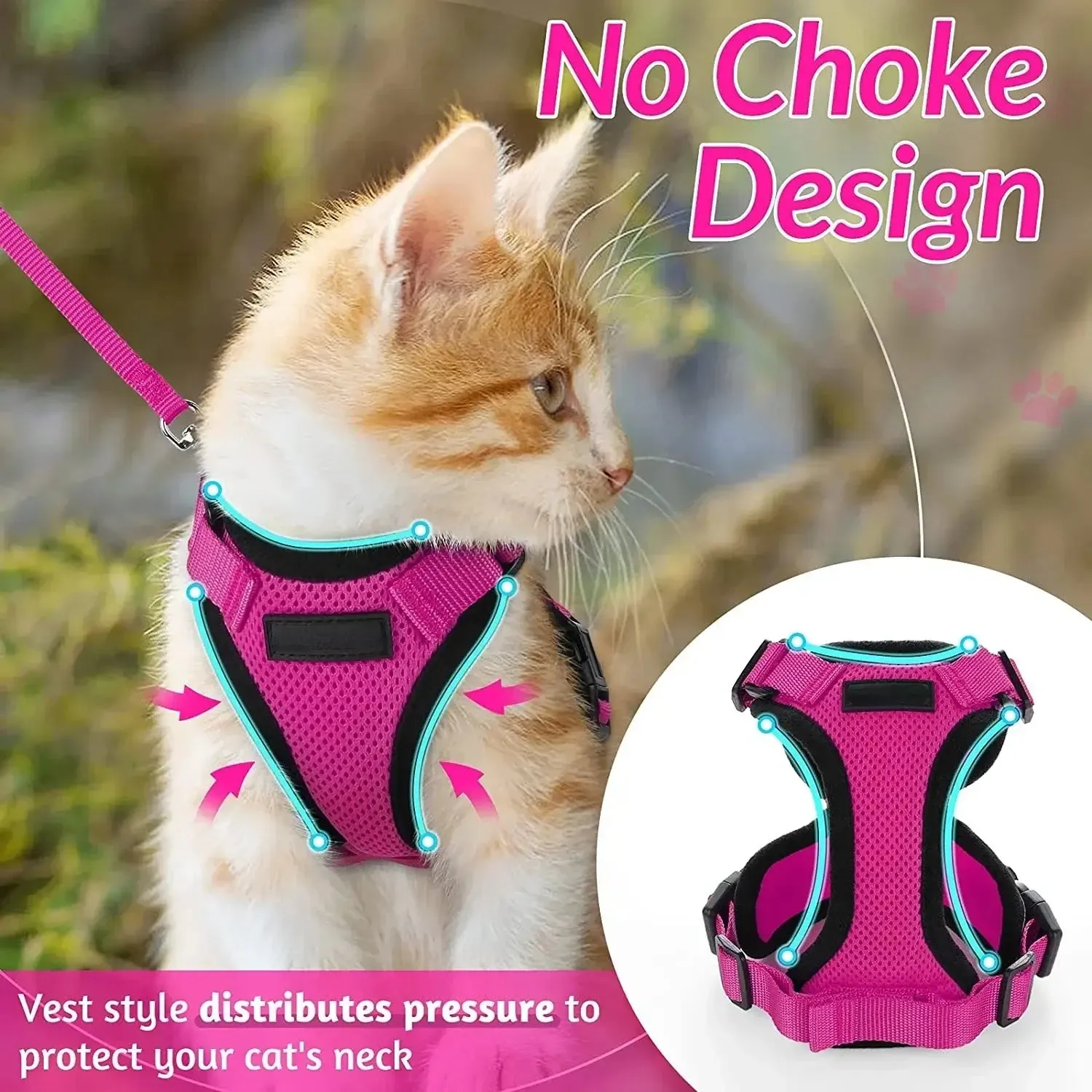 Cat Harness and Leash
