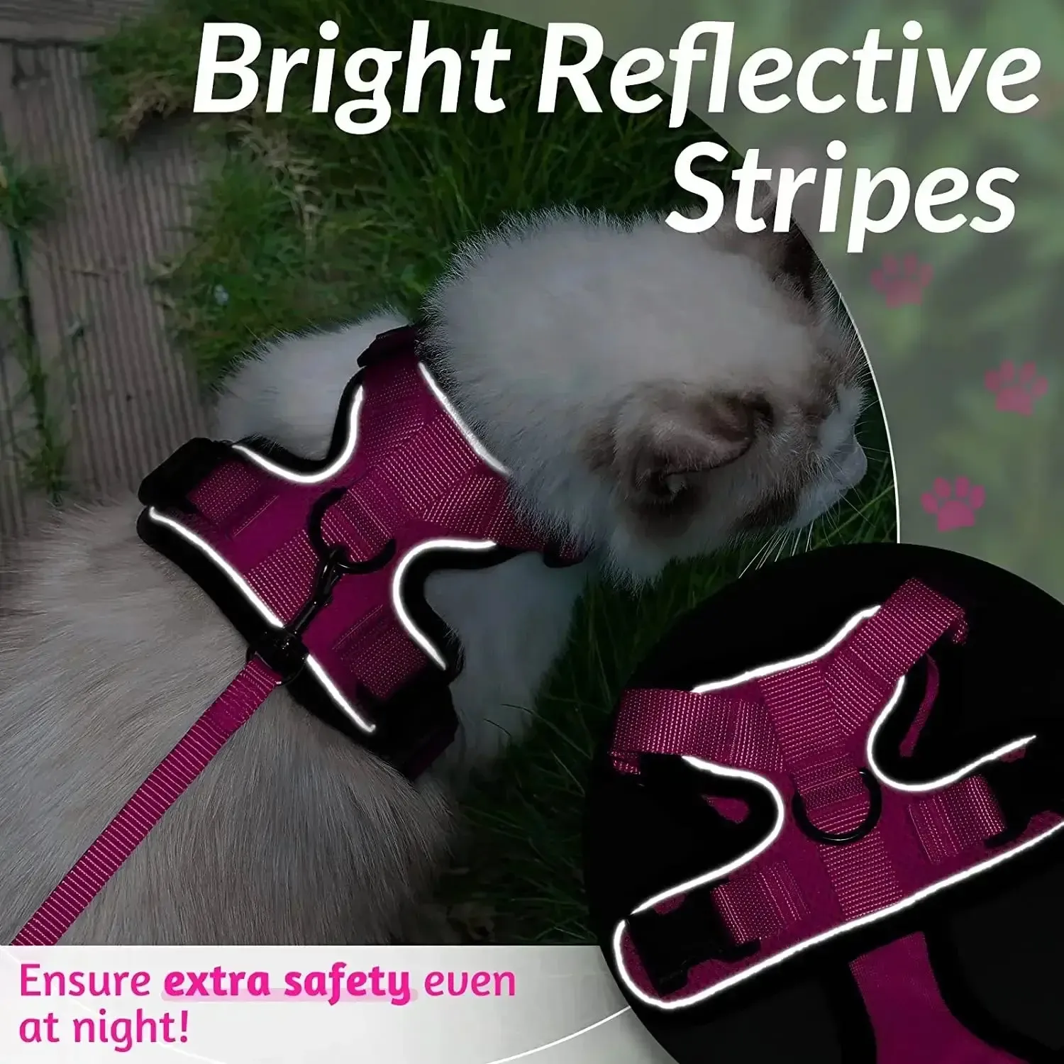 Cat Harness and Leash