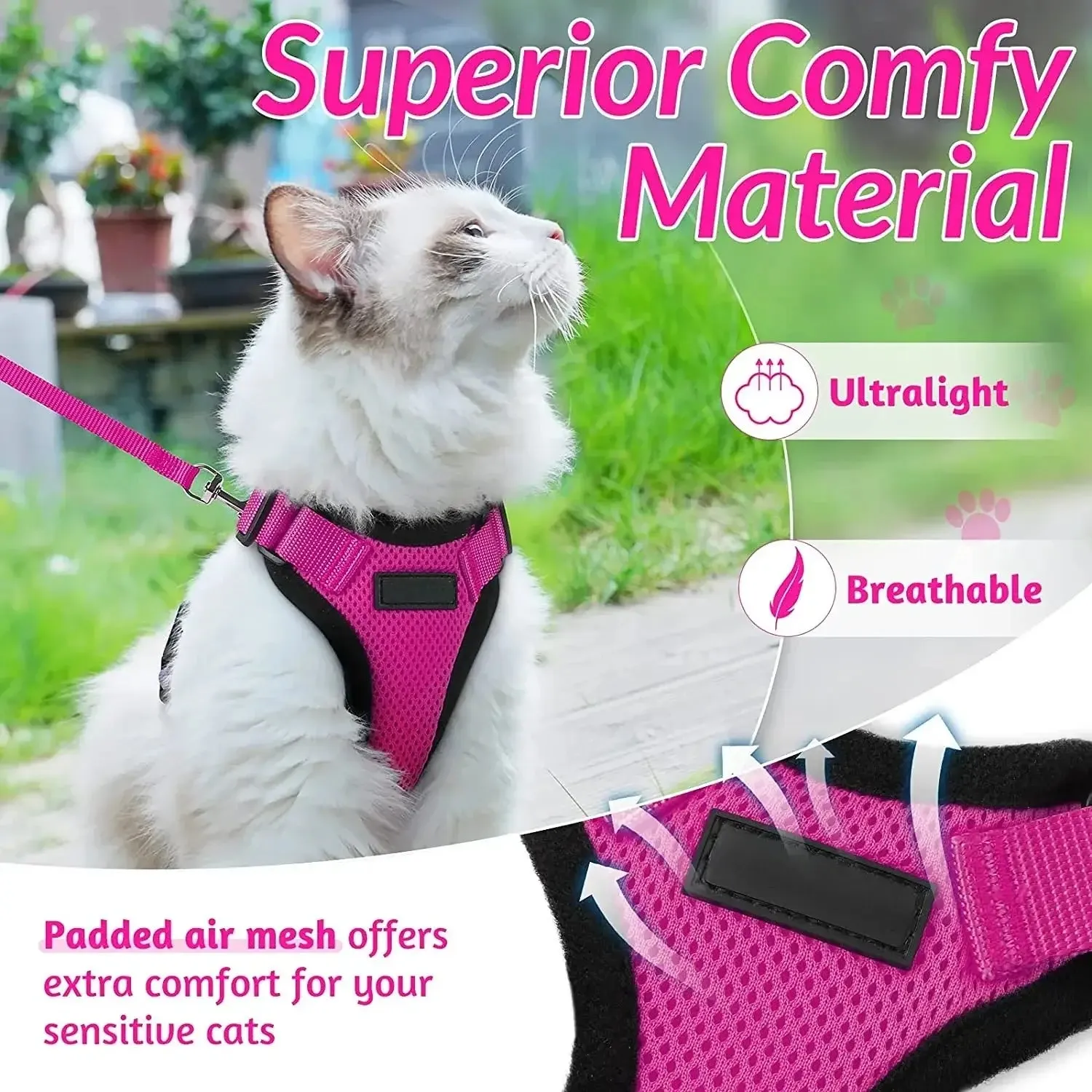 Cat Harness and Leash