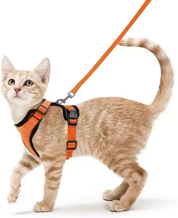 Cat Harness and Leash